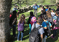 FOURTH GRADE HIKES
