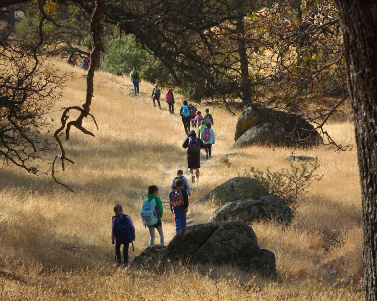 educational programs image