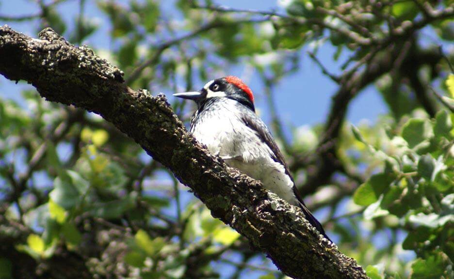 nature in buttes