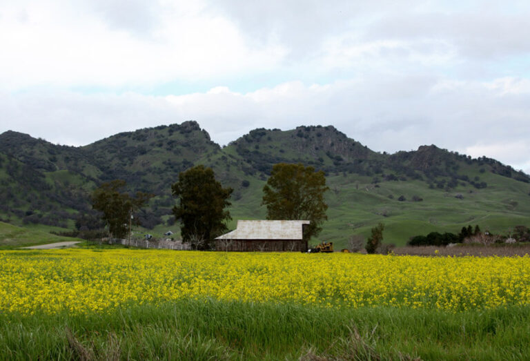 visit the sutter buttes
