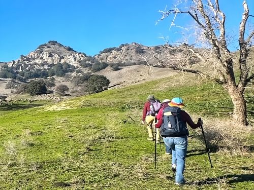 RANCH ROAD RAMBLER